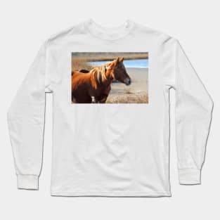 Assateague Beach Ponies - Series - 05 Long Sleeve T-Shirt